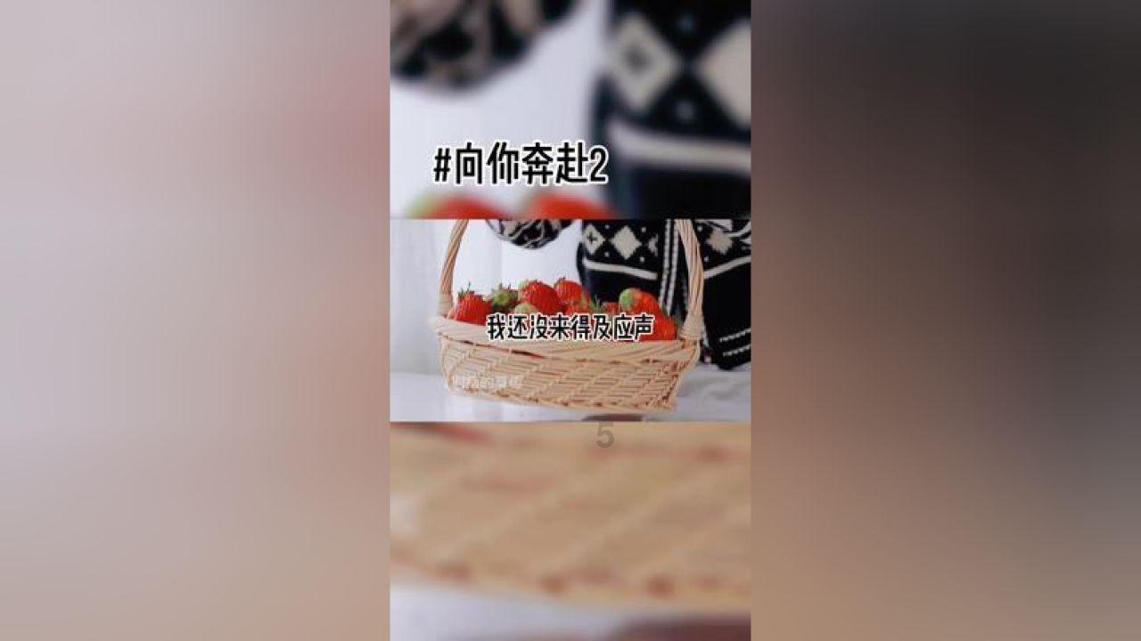 动物帮帮忙保卫家园