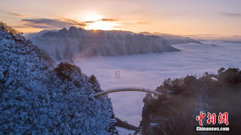 虫虫助手下载