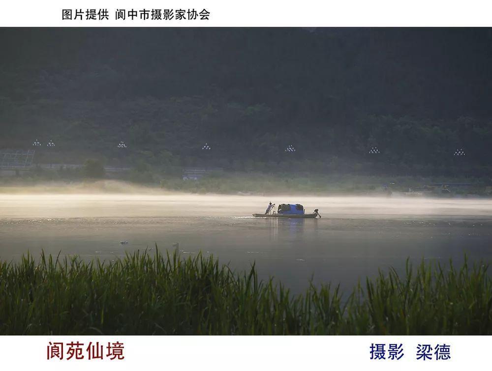 下好“三盘棋” 助力汾阳清香白酒高质量发展