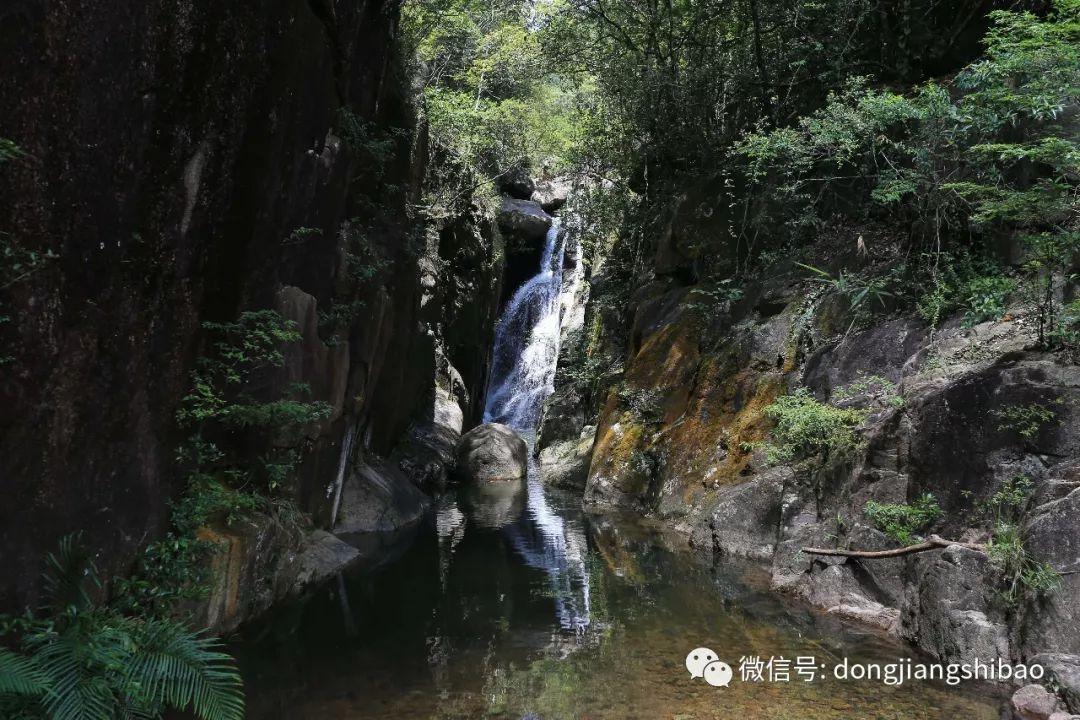 山珍年味“醉”乡愁,湖北通山首届年货节开幕