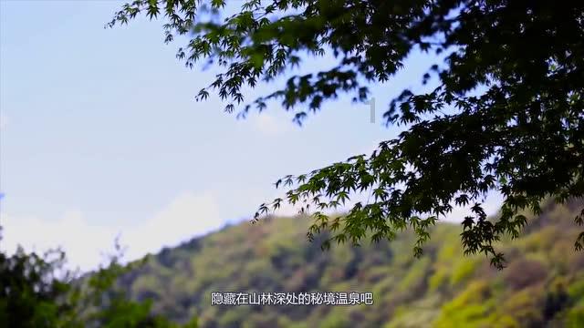 逃离水虎鱼湖