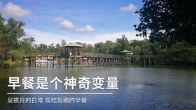 世界上最小的国家是什么？游戏画面
