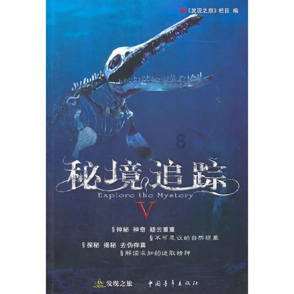 古墓丽影暗影