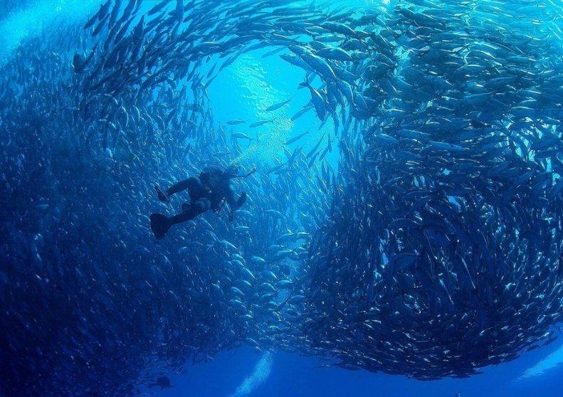 私人度假胜地