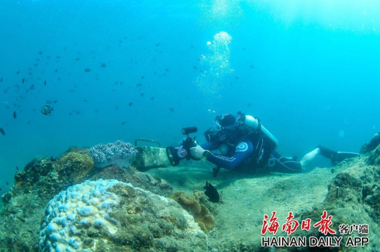 逃离受损的城堡