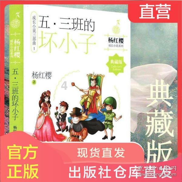 数学男孩