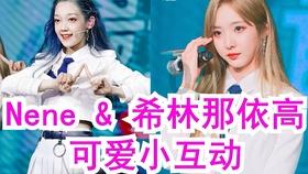 疯狂的小偷