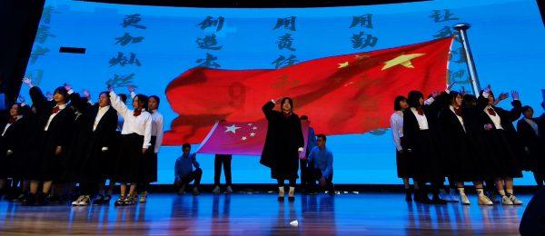 迷你淘气猪逃脱