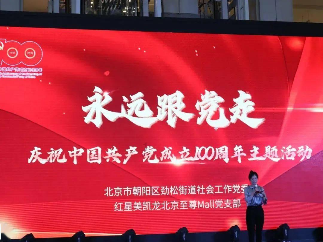 拯救受伤的猫