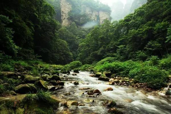 做热干面用什么面好?——分享与讨论的红迪网社区