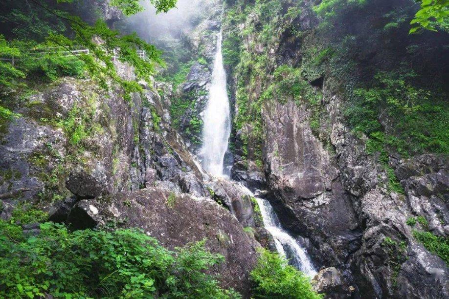 逃出田园庭院