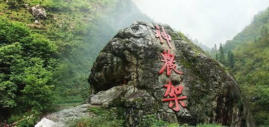 太阁立志传5