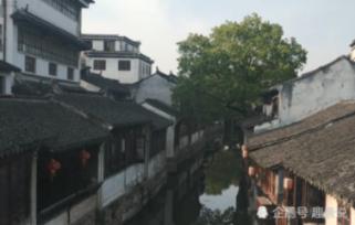 虎胆熊威2中文无敌版