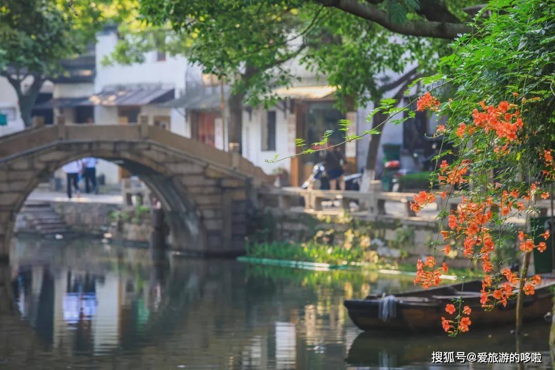全面解答你的问题,来春节过年为什么要吃饺子?寻找答案