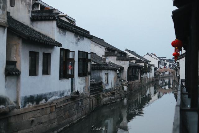 寻找迷路的松鼠