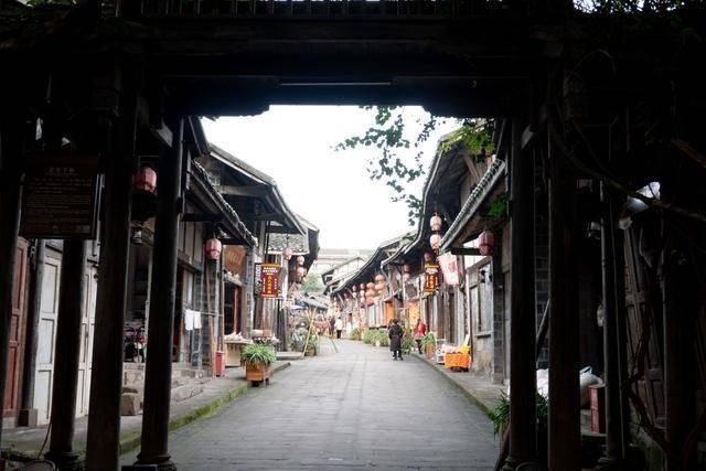 御龙在天