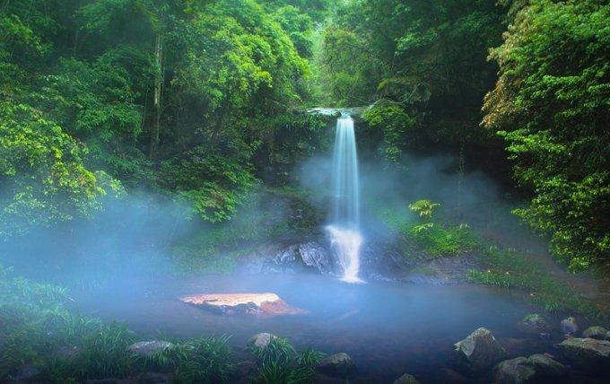 春雨直播app